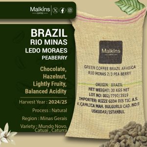 Brazil Rio Minas Ledo Moraes Peaberry