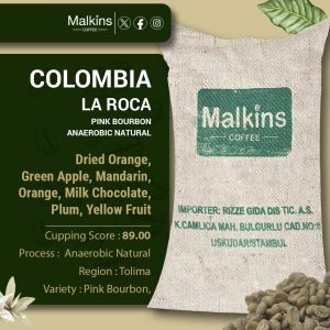 Colombia La Roca - Pink Bourbon - Anaerobic Natural
