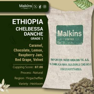 Ethiopia Chelbessa Danche G1