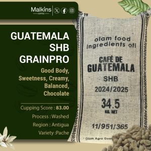 Guatemala SHB GrainPro