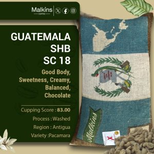 Guatemala SHB Screen 18