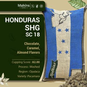 Honduras SHG 18 (Strictly High Grown)
