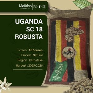 Uganda Sc 18 Robusta